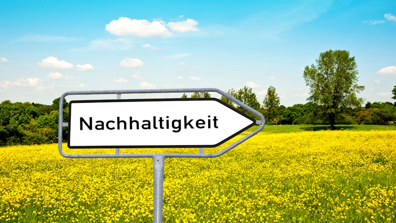 Vor einer gelb blühenden Wiese steht ein Wegweiser, der nach rechts zeigt, mit der Aufschrift "Nachhaltigkeit". Im Hintergrund sind Bäume und dichte Vegetation zu sehen. Der Himmel ist strahlend blau und mit einzelnen weißen Wolken versehen. Vor einer gelb blühenden Wiese steht ein Wegweiser, der nach rechts zeigt, mit der Aufschrift "Nachhaltigkeit". Im Hintergrund sind Bäume und dichte Vegetation zu sehen. Der Himmel ist strahlend blau und mit einzelnen weißen Wolken versehen.
