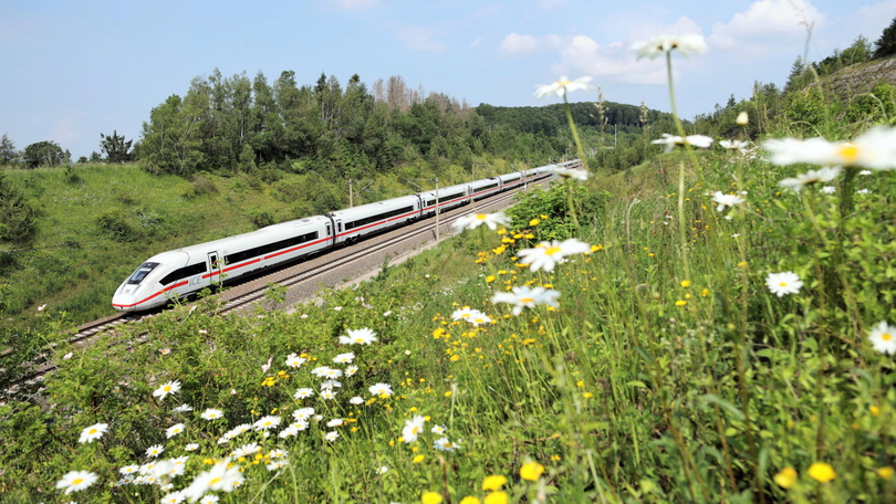Ein Intercity-Express der Deutschen Bahn fährt durch eine hügelige grüne Landschaft. Im Vordergrund befindet sich ein Hügel, auf dem verschiedene Wildblumen blühen. Im näheren Hintergrund befinden sich Bäume und am Horizont ein Wald.
