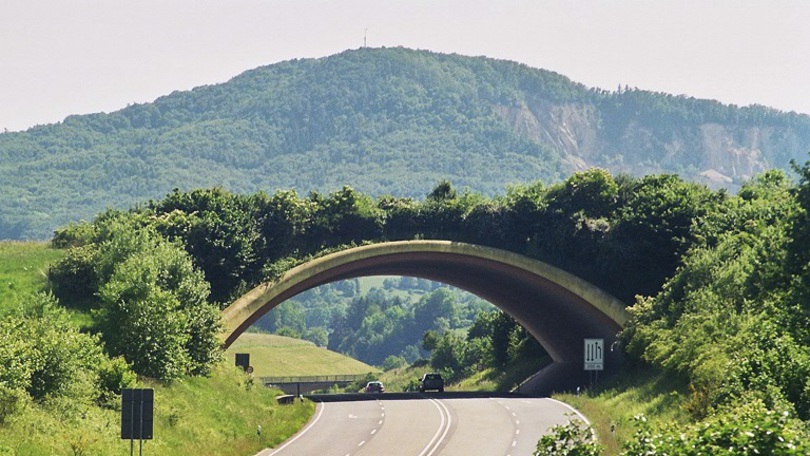 Grünbrücke an der B 38 in Hessen