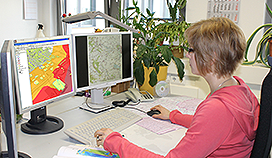 Frau am Computerarbeitsplatz © mlv sachsen-anhalt