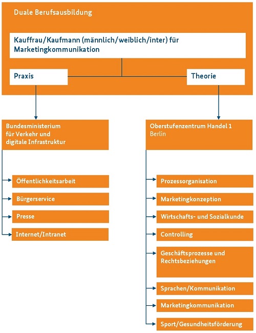 Ausbildungsinhalte Kauffrau/Kaufmann für Marketingkommunikation
