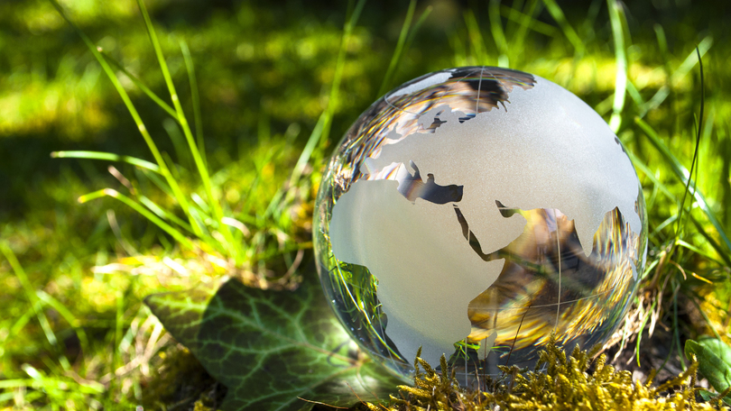 sphere of glass in grass